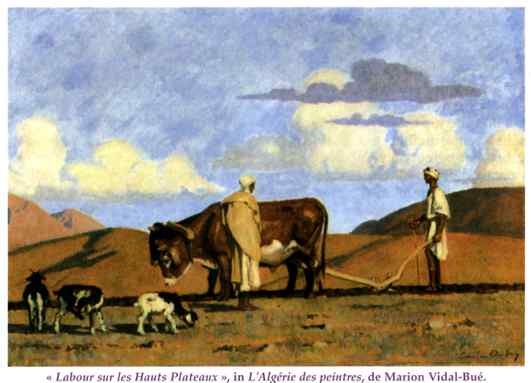 " Labour sur les Hauts Plateaux ", in L'Algérie des peintres, de Marion Vidal-Bué.