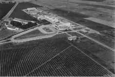 Aérodromes et bases 1945/1962 -16((PPS)- Philippeville, Souk Ahras, Ouenza