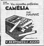 Camelia,pur Havane