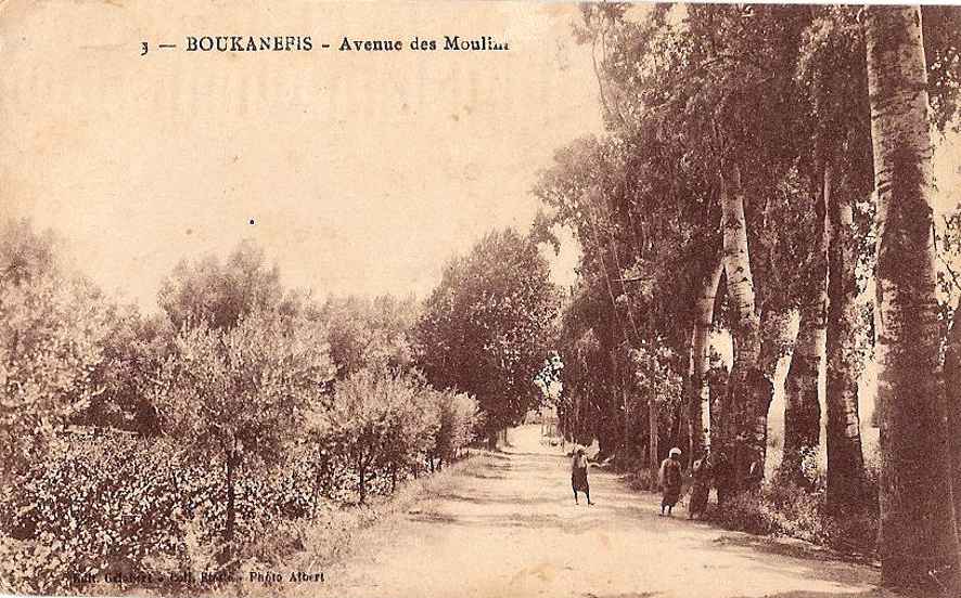 avenue des Moulins