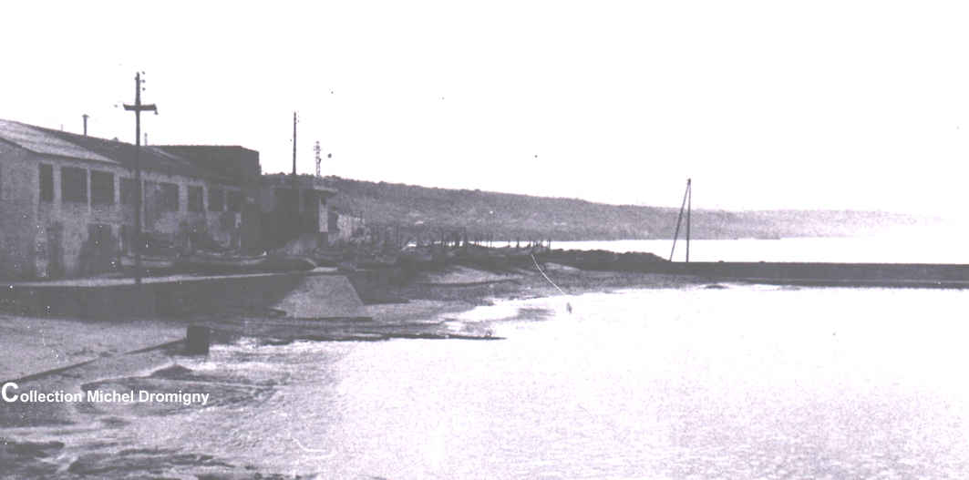 Port et "Papa Falcone" à gauche.
