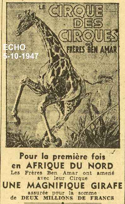 Le cirque Amar à Alger - 1947