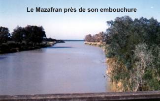 mazeafran