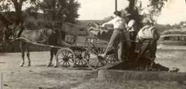 Ferdinand utilisait un vieux char à bancs reconverti et un mulet de location