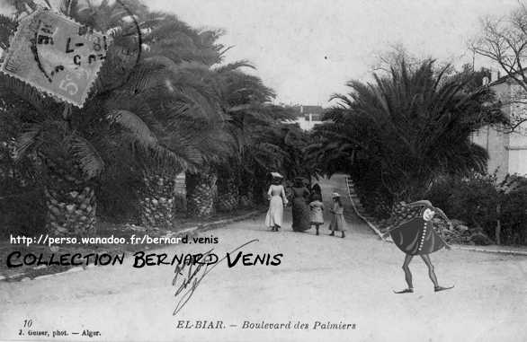 Boulevard des Palmiers