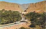 gorges et defiles d'Algérie:les gorges d'el-kantara et la palmeraie