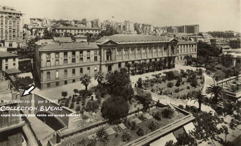 L'université d'Alger construite en 1909. En bas, le " trou des facs " (coll.B.Venis) 