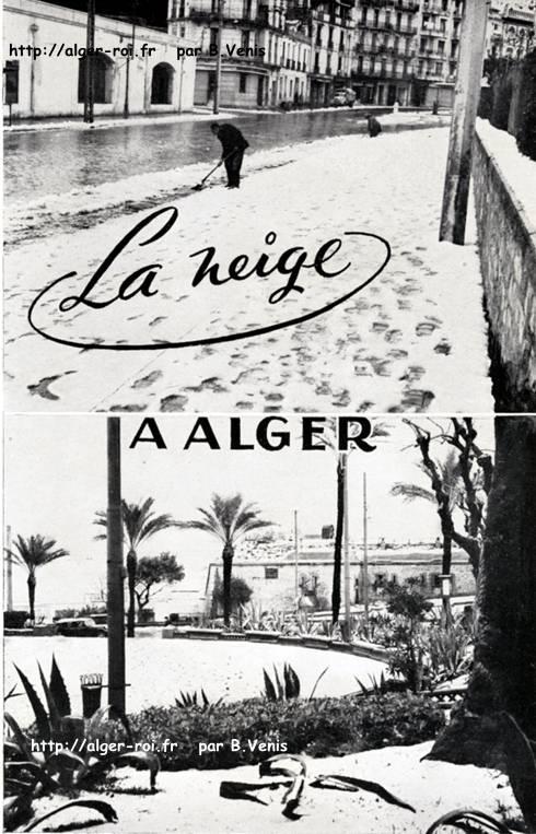 Il ne neigeait pas souvent à Alger ..décembre 1952 ou janvier 1953