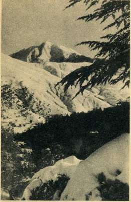Lella Khedidja. Le plus haut sommet de l'Atlas Tellien (2.308 m.) est cou·