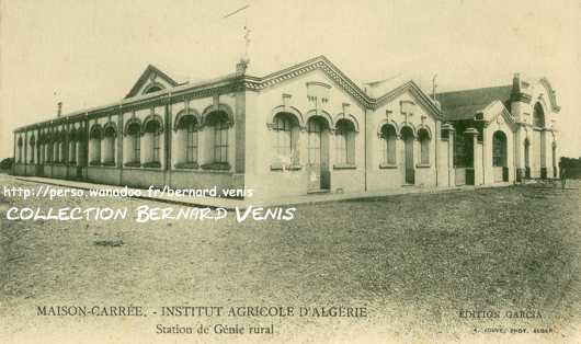 Institut agricole d'Algérie