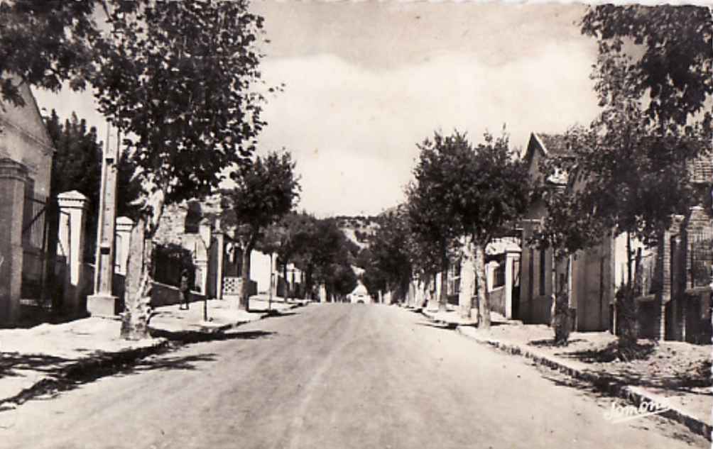 Avenue Clemenceau
