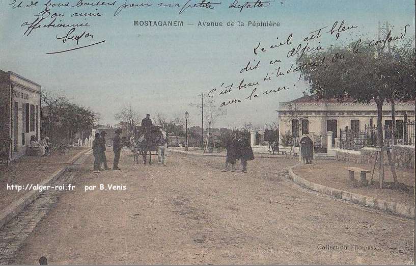 mostaganem,Avenue de la pépinière