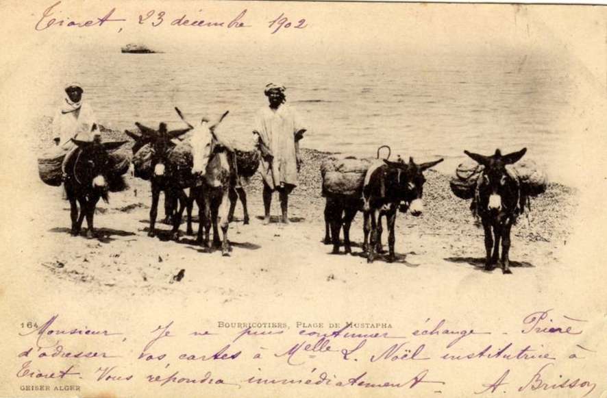 mustapha,bourricotiers,plage