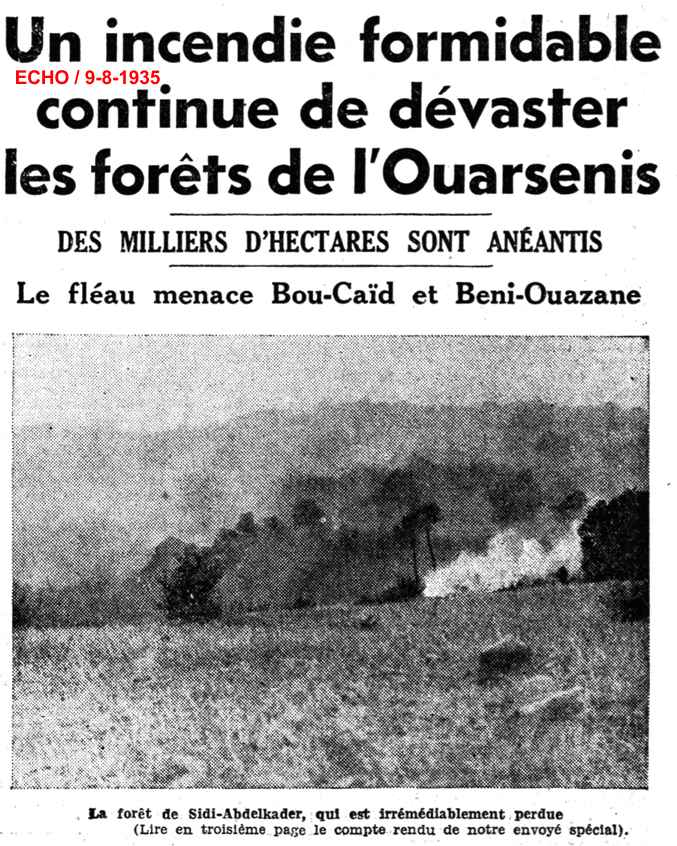 Un incendie formidable continue de dévaster les forêts de l'Ouarsenis