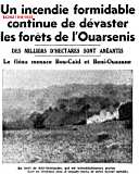 Un incendie ravage les forêts de l'Ouarsenis