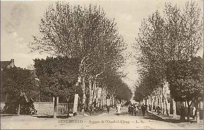 Beni-Mered : avenue de l'oued-el-alleug.