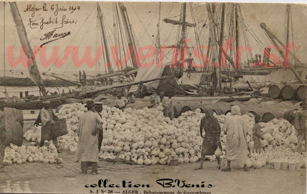 4b : Alger : le port, débarquement de gargoulettes