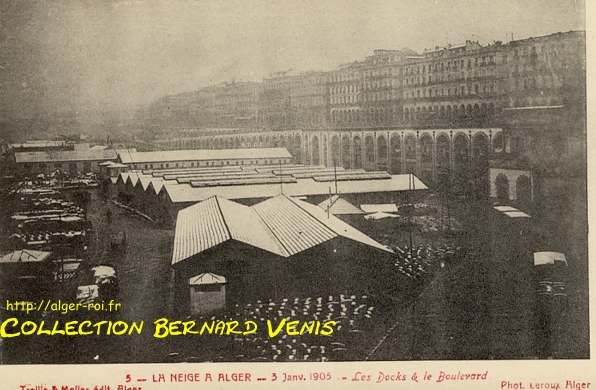 Neige à Alger - 3 janvier 1905