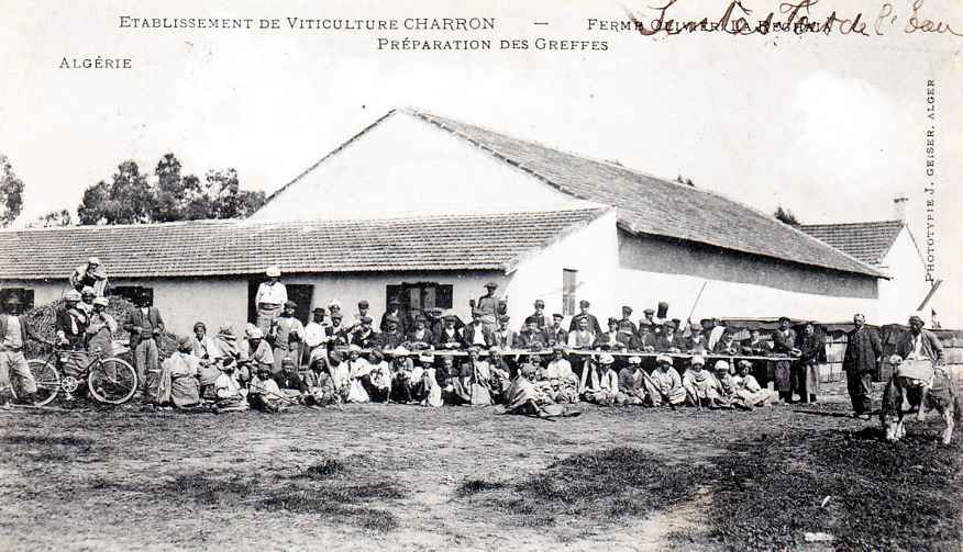Viticulture Charron