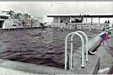 la piscine du R.U.A, Alger 