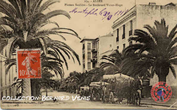 Plateau Saulière - le bd Victor Hugo et ses palmiers