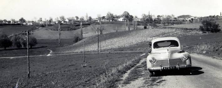 Vue prise en 1953. Le village est tout en longueur. La vigne est sur les pentes les mieux exposées 