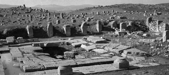 ruines romaines de Rapidum (ou Sour Djouab) 
